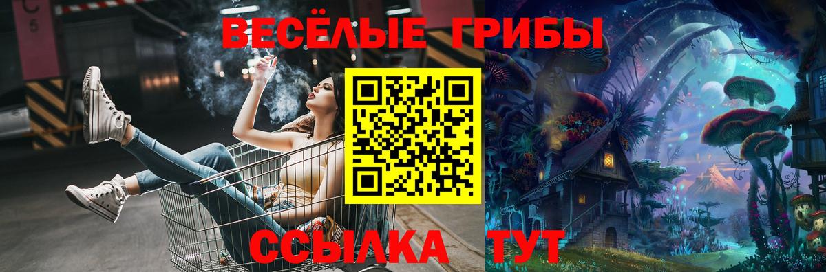 Первоуральск  Галлюциногенные грибы Psilocybine cubensis  Вход с VPN 
